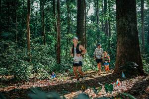 BIB: 
                            <button type="button" onclick="openModal(26130687)" class="btn btn-primary btn-sm float-right btn-popup" data-toggle="modal" data-target=".modal-high-quality">
                        <i class="fas fa-shopping-cart"></i> Add to Cart
                    </button>
                                            <button type="button" onclick="isThisMe(26130687, true)" class="btn btn-success btn-sm float-right btn-popup btn-isme hidden" data-toggle="tooltip" data-placement="bottom" title="นี่คือรูปของคุณใช่ไหม คลิกที่นี่เพื่อเอาเข้าอัลบั้ม">
                        <i class="fas fa-plus"></i> Add to album
                    </button>
                    <button type="button" onclick="isThisMe(26130687, false)" class="btn btn-warning btn-sm float-right btn-popup btn-isnotme hidden">
                        <i class="fas fa-ban"></i> Remove from album
                    </button>